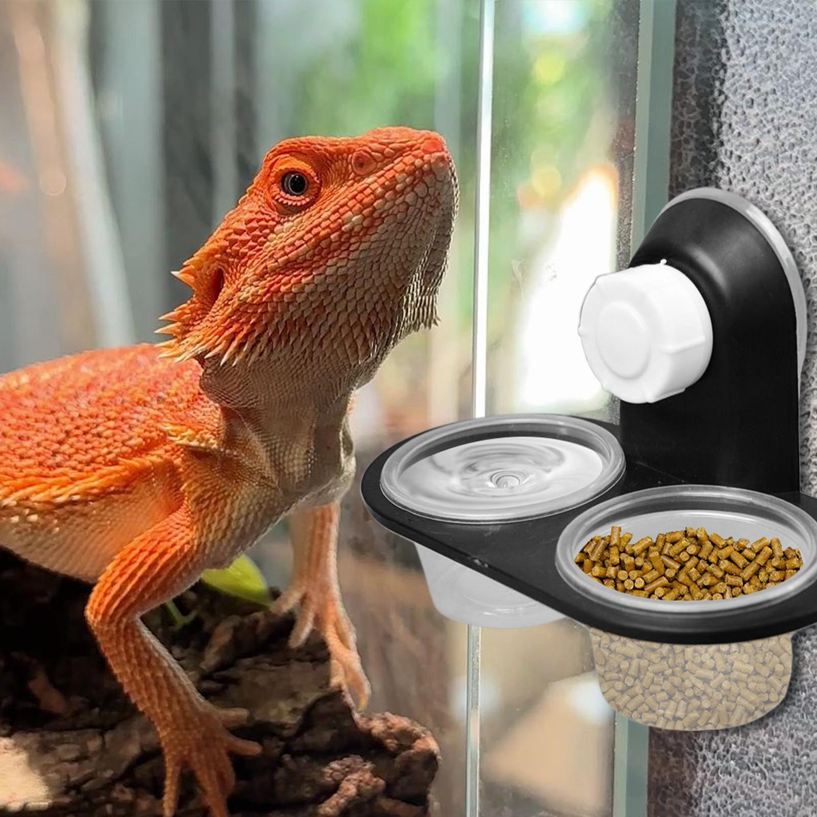 Tempat Makan Gecko, Dispenser  - Water Dish Reptile ulasan dan harga