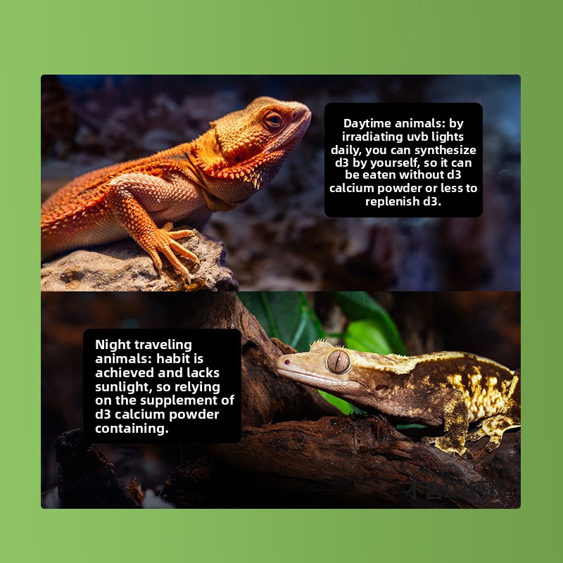 Reptizoo Bubuk Kalsium Reptil  - Vitamin D3 Reptile ulasan dan harga