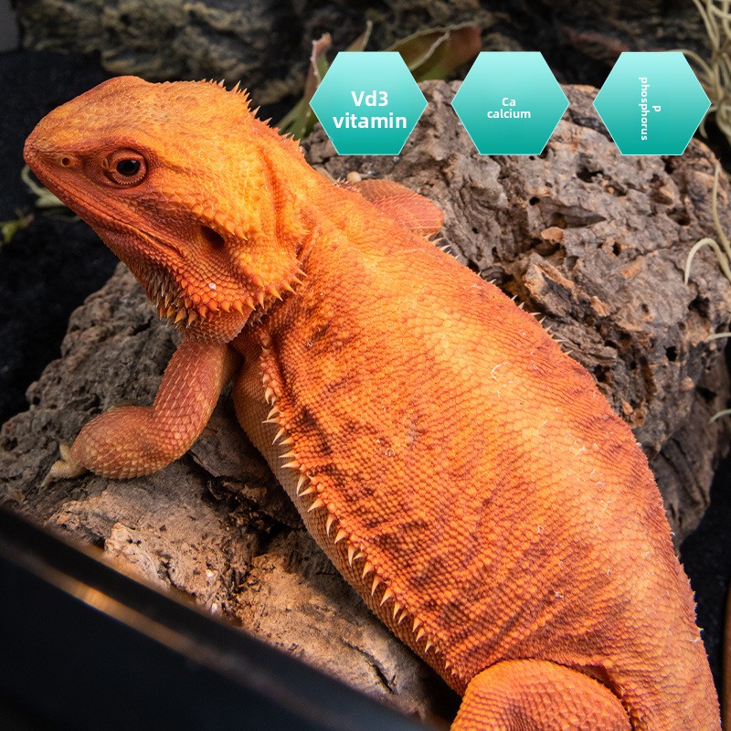 Campuran Kalsium Pro-Vitamin & - Vitamin D3 Reptile ulasan dan harga
