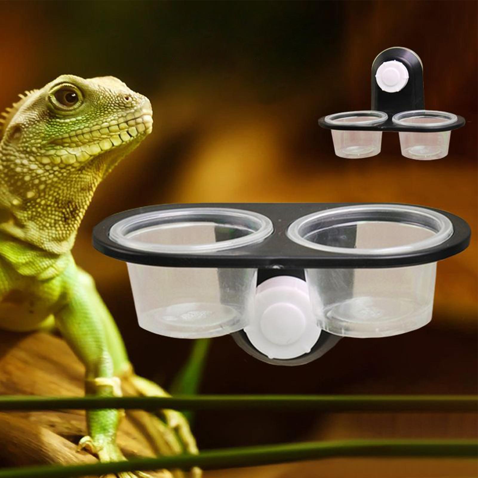 Tempat Makan dan Minum Kadal u - Water Dish Reptile ulasan dan harga